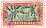 Sellos de America - Guatemala -  Banano
