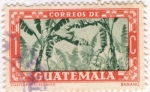 Stamps Guatemala -  Banano