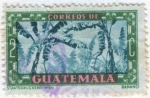 Stamps Guatemala -  Banano