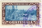 Sellos de America - Guatemala -  Caña de azucar