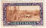 Stamps Guatemala -  Caña de 
