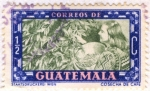 Stamps Guatemala -  Cosecha de cafe
