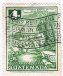 Sellos de America - Guatemala -  Homenaje al Ejercito Nacional