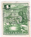 Stamps Guatemala -  Homenaje al Ejercito Nacional