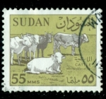 Stamps Sudan -  Cattle