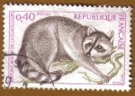 Stamps France -  RATON LAVUR DE LA GUADELOUPE