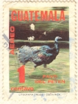 Stamps : America : Guatemala :  Pavo de Peten