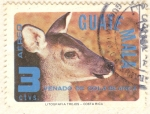 Stamps Guatemala -  Venado cola blanca