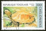 Stamps : Africa : Togo :  CHELONIENNS - TORTUGA PUXIDEA MOUTHI