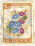 Stamps Guatemala -  Quiebra cajeta