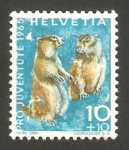 Stamps Switzerland -  marmotas