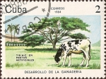 Stamps Cuba -  Desarrollo de la Ganadería: 7/8 H-C en pastos artificiales.