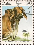 Stamps America - Cuba -  Desarrollo de la Ganadería: Cebú cubano.