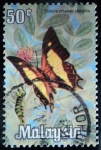 Stamps : Asia : Malaysia :  Nawab Común