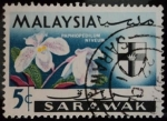 Stamps : Asia : Malaysia :  Estado de Sarawak / Orquídea Paphiopedilium Niveum