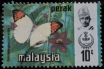 Stamps : Asia : Malaysia :  Estado de Perak / Mariposa Gran Consejo Naranja
