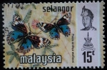 Stamps Malaysia -  Estado de Selangor / Mariposa Azul Pensamiento