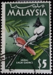 Stamps Asia - Malaysia -  Murai Ekor Gading / Urraca Paraíso Atrapamoscas