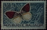 Stamps : Africa : Madagascar :  Republique Malgache / Lepidoptera_Pieridae: Colotis Zoe