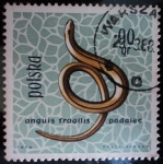 Stamps Poland -  Lución