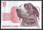Stamps Europe - Spain -  2711 Perros de Raza española, Perdiguero de Burgos.