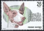 Sellos de Europa - Espa�a -  2713 Perros de Raza española, Podenco Ibicenco.