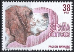 Sellos de Europa - España -  2714 Perros de Raza española, Pachón Navarro.