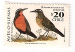 Stamps : America : Chile :  aves chilenas , loica