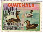 Stamps : America : Guatemala :  Lago de Atitlán y Patos Poc