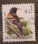 Stamps : Europe : Belgium :  pinson du nord