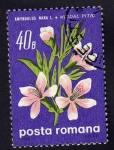 Stamps Romania -   Amigoalus nana