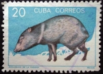 Stamps Cuba -  Zoológico de la Habana / Pécari