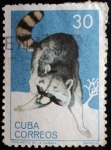 Sellos de America - Cuba -  Zoológico de la Habana / Mapache