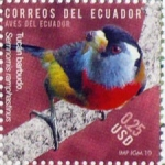 Stamps : America : Ecuador :  Aves del Ecuador