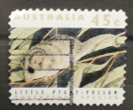 Stamps Australia -  little pigkt possum