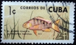 Stamps Cuba -  Pesca