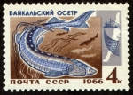 Stamps Russia -  RUSIA - Lago Baikal