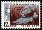 Sellos de Europa - Rusia -  RUSIA - Lago Baikal