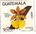 Sellos de America - Guatemala -  Orquídeas