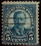 Stamps : America : United_States :  Theodore Roosevelt (1858-1919)