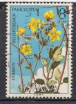 Stamps Spain -  E2224 FLORA: Helianthemun paniculatum (77)
