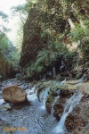 Sellos del Mundo : America : Costa_Rica : LOS CHORROS EN TACARES DE GRECIA ALAJUELA