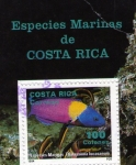 Stamps : America : Costa_Rica :  ESPECIES MARINAS DE COSTA RICA