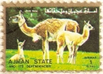 Stamps United Arab Emirates -  AJMAN - Guanaco