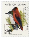 Stamps : America : Chile :  Aves Chilenas 