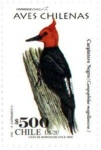 Stamps : America : Chile :  Aves Chilenas 