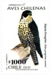 Stamps Chile -  Aves Chilenas 
