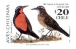 Stamps Chile -  Aves Chilenas 