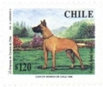 Stamps : America : Chile :  Perros