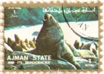 Stamps United Arab Emirates -  AJMAN - Oso marino